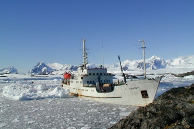В Арктике открыли новые острова