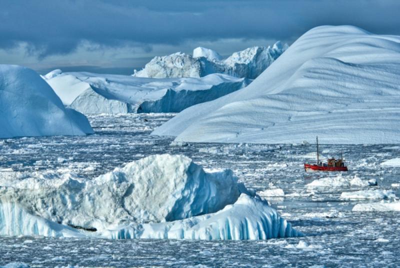 «Русская Арктика» и «Роснефть» проаналировали промежуточные итоги работы по восстановлению арктических экосистем