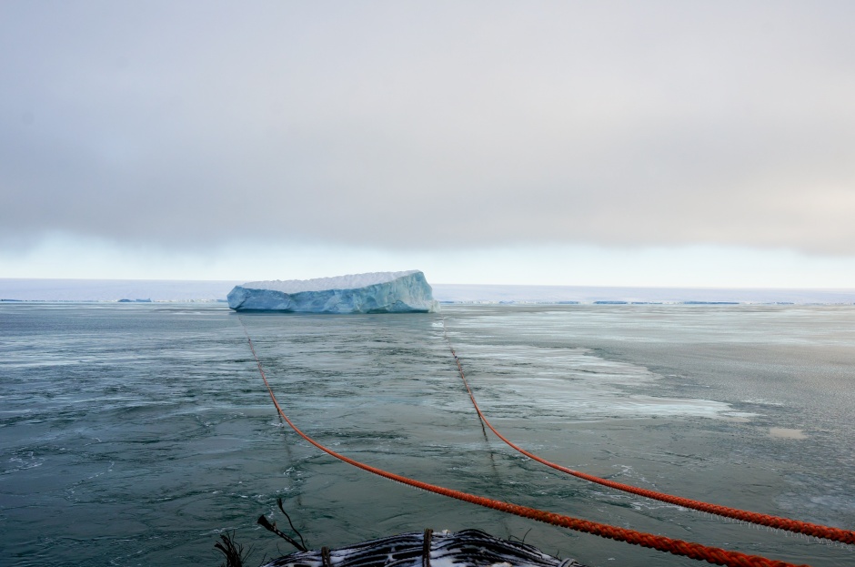 Арктические айсберги взяли на буксир