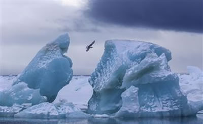 Снимки Арктики победили в конкурсе лучших фотографий России