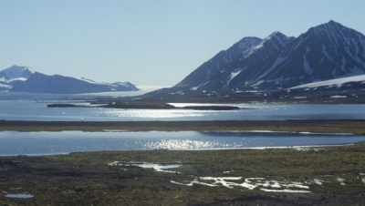 На Шпицбергене создадут Российскую научную арктическую экспедицию