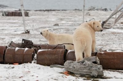 Минобороны присоединится к уборке Арктики